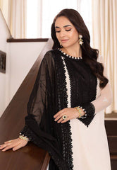 Ivory and Black Embroidered Salwar Kameez Set with Lace Detailing