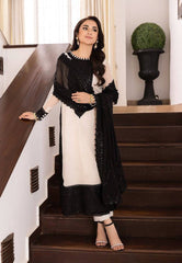 Ivory and Black Embroidered Salwar Kameez Set with Lace Detailing