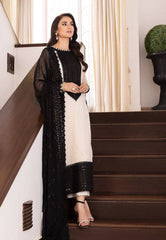 Ivory and Black Embroidered Salwar Kameez Set with Lace Detailing